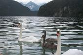 15 il lago nei pressi dei castelli 